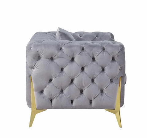 Jelanea Gray Velvet & Gold Finish Chair Model LV01408 By ACME Furniture