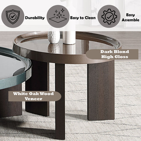 ACME Lakita Blackish Green/ Dark Blond High Gloss Smoked Oak End Table Model LV04406