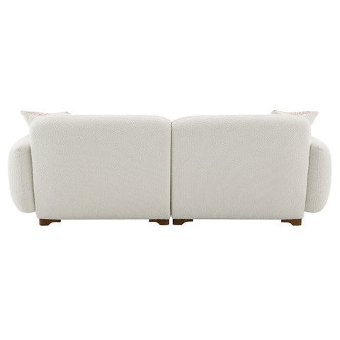 Darius Sofa w/2 Pillows