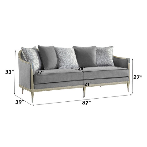 ACME Fernando Gray Chenille Champagne Sofa with 5 Pillows Model LV04820