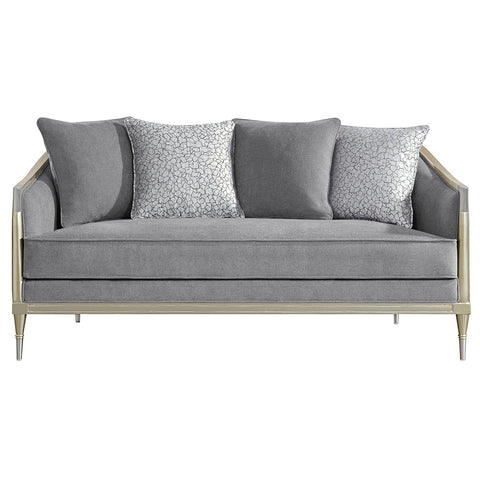 ACME Fernando Gray Chenille Champagne Loveseat with 4 Pillows Model LV04821