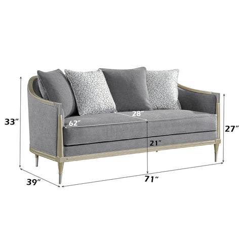 ACME Fernando Gray Chenille Champagne Loveseat with 4 Pillows Model LV04821