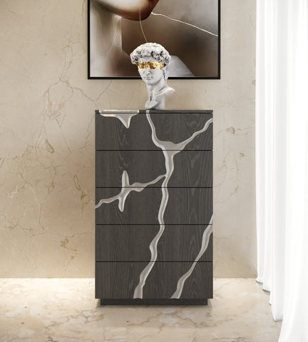 Modrest Aspen Modern Matte Brown Ash & Silver Chest Model VGVCJ1801-5H