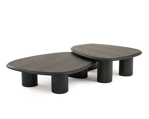 Modrest Summit Modern Ash Coffee Table Set Model VGOD-LZ-363C-H-L-SET