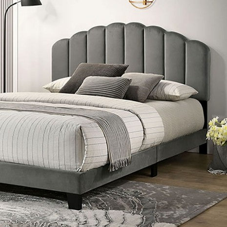 Christi Queen Bed Model Tm7001Dg-Q By Furniture Of America 