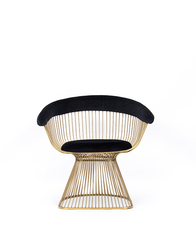 Modrest Chandler Black Velvet & Gold Dining Chair Model VGZAY007-BLKGLD