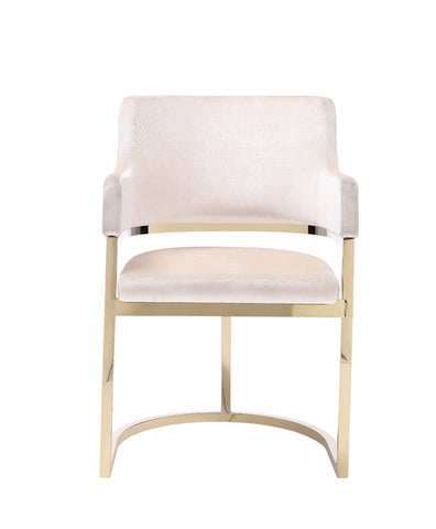 Modrest Tulsa Modern Cream Velvet & Gold Dining Chair Model VGZAY607-CRM